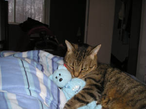 caseyandbear.jpg